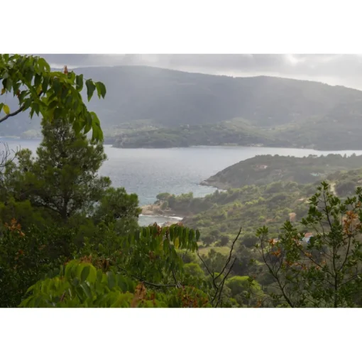 Allegroitalia Elba Capo d'Arco Allegroitalia Elba Capo d'Arco - Infinite Elba Experience - Private Beach - Infinity Pool - 4 Days 3 Nights - Avvenice^ Spa & Wellness | Nature & Relax
