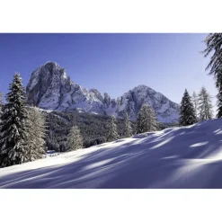 Alpenroyal Grand Hotel - Junior Suite Deluxe - 3 Days 2 Nights - Exclusive Luxury - Val Gardena - Trentino Italy - Avvenice