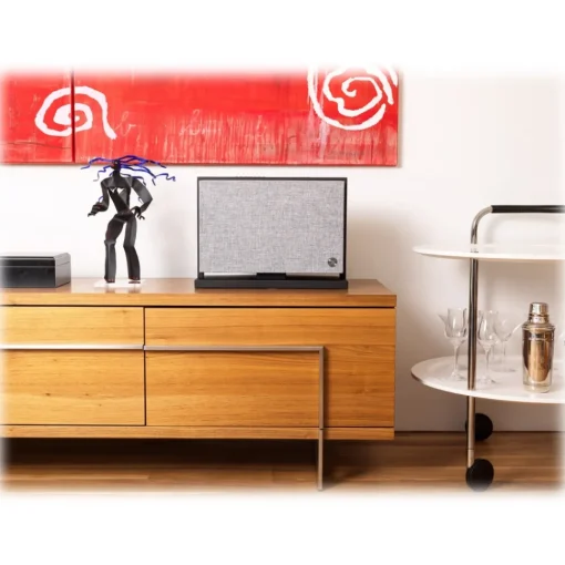 Audio Pro - A40 Anniversary Limited Edition Model - Black - High Quality Speaker - Bluetooth 5.0 - Wireless - USB - Avvenice^ Audio