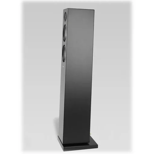 Audio Pro - Addon T20 - Black - High Quality Speaker - Powered Wireless Floorstanding HiFi - USB, Stereo, Bluetooth, Wireless - Avvenice