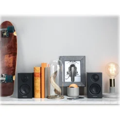 Audio Pro - Addon T8L - Black - High Quality Speaker - Powered Wireless Mini Speaker - HiFi - USB, Stereo, Bluetooth, Wireless - Avvenice^ Audio