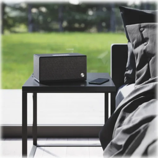 Audio Pro - BT5 - Driftwood - High Quality Speaker - Bluetooth 4.0 - Wireless - USB - Avvenice