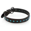 B Wilde Collection - Cabo Collar - Turquoise - Cabo Collection - Leather Collar - High Quality Luxury - Avvenice^ Collars