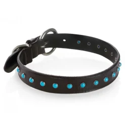 B Wilde Collection - Cabo Collar - Turquoise - Cabo Collection - Leather Collar - High Quality Luxury - Avvenice^ Collars