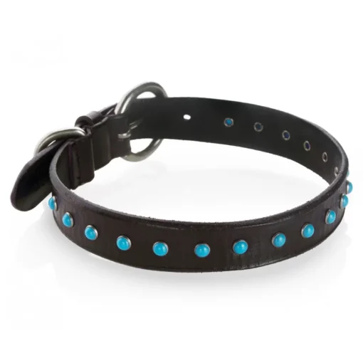 B Wilde Collection - Cabo Collar - Turquoise - Cabo Collection - Leather Collar - High Quality Luxury - Avvenice^ Collars