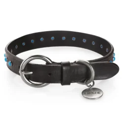 B Wilde Collection - Cabo Collar - Turquoise - Cabo Collection - Leather Collar - High Quality Luxury - Avvenice^ Collars