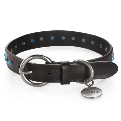 B Wilde Collection - Cabo Collar - Turquoise - Cabo Collection - Leather Collar - High Quality Luxury - Avvenice^ Collars