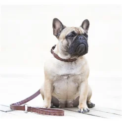 B Wilde Collection - Coco Leash - Coco Collection - Crocodile Leash - High Quality Luxury - Avvenice^ Leash