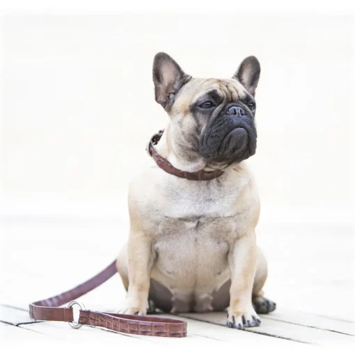 B Wilde Collection - Coco Leash - Coco Collection - Crocodile Leash - High Quality Luxury - Avvenice^ Leash