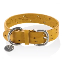B Wilde Collection - Domino Collar - Tuscany Yellow - Domino Collection - Leather Collar - High Quality Luxury - Avvenice