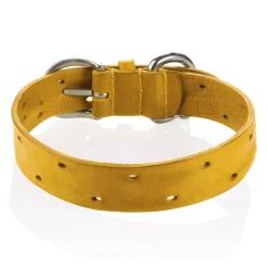 B Wilde Collection - Domino Collar - Tuscany Yellow - Domino Collection - Leather Collar - High Quality Luxury - Avvenice
