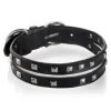 B Wilde Collection - Set Cairo - Onyx - Collar & Leash - Cairo Collection - Leather Collar - High Quality Luxury - Avvenice^ Leash | Collars