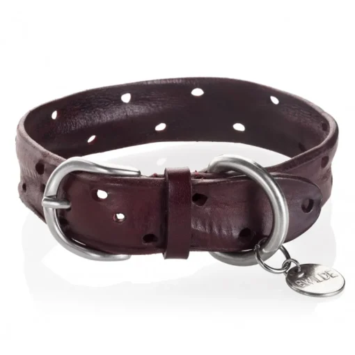 B Wilde Collection - Set Domino - Bordeaux - Collar & Leash - Domino Collection - Leather Collar - High Quality Luxury - Avvenice^ Leash | Collars