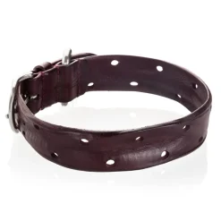 B Wilde Collection - Set Domino - Bordeaux - Collar & Leash - Domino Collection - Leather Collar - High Quality Luxury - Avvenice^ Leash | Collars