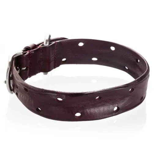 B Wilde Collection - Set Domino - Bordeaux - Collar & Leash - Domino Collection - Leather Collar - High Quality Luxury - Avvenice^ Leash | Collars
