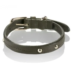 B Wilde Collection - Set Milo - Olive - Collar & Leash - Milo Collection - Leather Collar - High Quality Luxury - Avvenice^ Leash | Collars