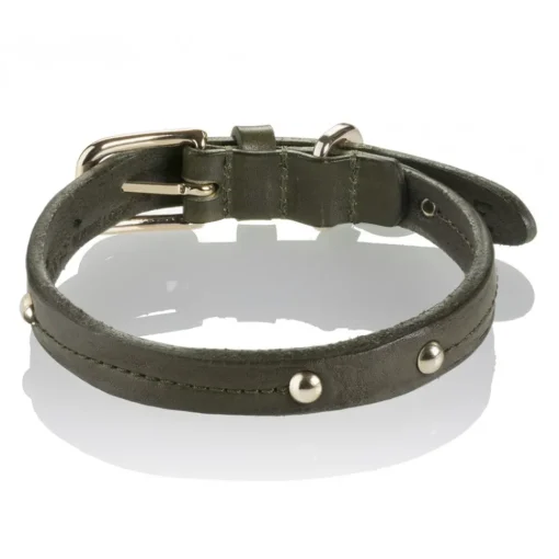B Wilde Collection - Set Milo - Olive - Collar & Leash - Milo Collection - Leather Collar - High Quality Luxury - Avvenice^ Leash | Collars
