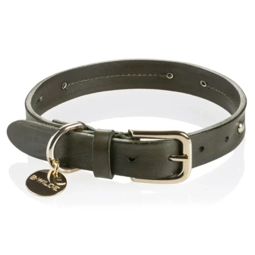 B Wilde Collection - Set Milo - Olive - Collar & Leash - Milo Collection - Leather Collar - High Quality Luxury - Avvenice^ Leash | Collars