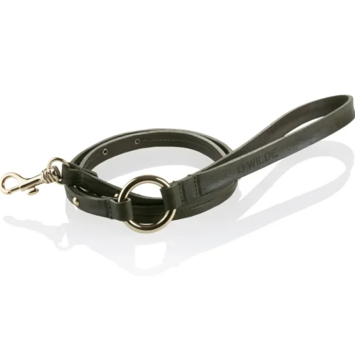 B Wilde Collection - Set Milo - Olive - Collar & Leash - Milo Collection - Leather Collar - High Quality Luxury - Avvenice^ Leash | Collars