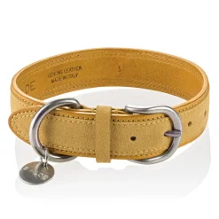 B Wilde Collection - Set Tango - Tuscany Yellow - Collar & Leash - Tango Collection - Leather Collar - High Quality Luxury - Avvenice^ Leash | Collars