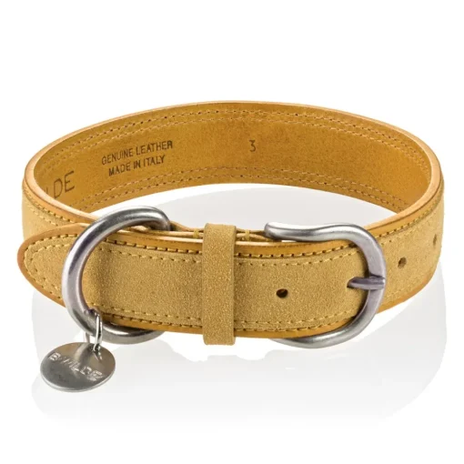B Wilde Collection - Set Tango - Tuscany Yellow - Collar & Leash - Tango Collection - Leather Collar - High Quality Luxury - Avvenice^ Leash | Collars