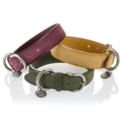 B Wilde Collection - Set Tango - Tuscany Yellow - Collar & Leash - Tango Collection - Leather Collar - High Quality Luxury - Avvenice^ Leash | Collars
