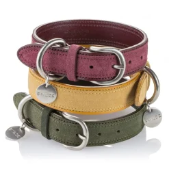 B Wilde Collection - Set Tango - Tuscany Yellow - Collar & Leash - Tango Collection - Leather Collar - High Quality Luxury - Avvenice^ Leash | Collars