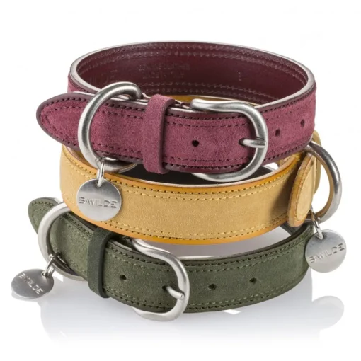B Wilde Collection - Set Tango - Tuscany Yellow - Collar & Leash - Tango Collection - Leather Collar - High Quality Luxury - Avvenice^ Leash | Collars