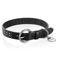 B Wilde Collection - Sparky Collar - Sparky Collection - Leather Collar - High Quality Luxury - Avvenice