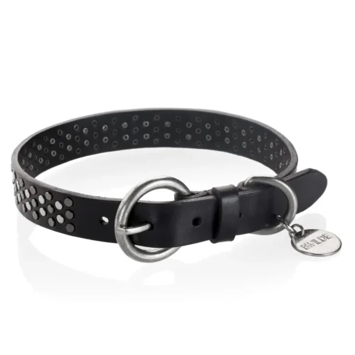 B Wilde Collection - Sparky Collar - Sparky Collection - Leather Collar - High Quality Luxury - Avvenice