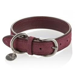B Wilde Collection - Tango Collar - Bordeaux - Tango Collection - Leather Collar - High Quality Luxury - Avvenice^ Collars