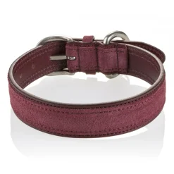 B Wilde Collection - Tango Collar - Bordeaux - Tango Collection - Leather Collar - High Quality Luxury - Avvenice^ Collars
