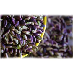 Bacco - Tipicit\u00e0 al Pistacchio Bacco - Tipicità al Pistacchio - Shelled Pistachio in Tub - Sicilian Pistachios - Dried Fruit - 1000 g - Avvenice^ Fruits