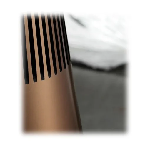 Bang & Olufsen - B&O Play Bang & Olufsen - B&O Play - Beosound 2 with the Google Assistant - Brass Tone - High Quality Speaker - Avvenice^ Audio | Audio