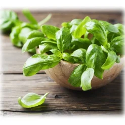 BioOrto - Organic Basil Pesto with Garlic - Organic Preserved Foods - 180 g - Avvenice^ Preserved Foods