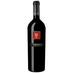 Bodega Numanthia - Termanthia - Toro - Spain - Red Wine - Luxury Limited Edition - 750 ml - Avvenice^ Wines