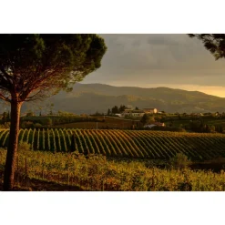 Borgobrufa SPA Resort - Nature & Vineyards - 2 Days 1 Night - Perugia - Assisi - Umbria Italy - Exclusive Luxury - Avvenice