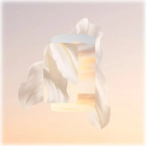 Cartier Beauty Cartier - Baiser Volé Eau De Parfum - Luxury Fragrances - 30 ml - Avvenice^ Fragrances