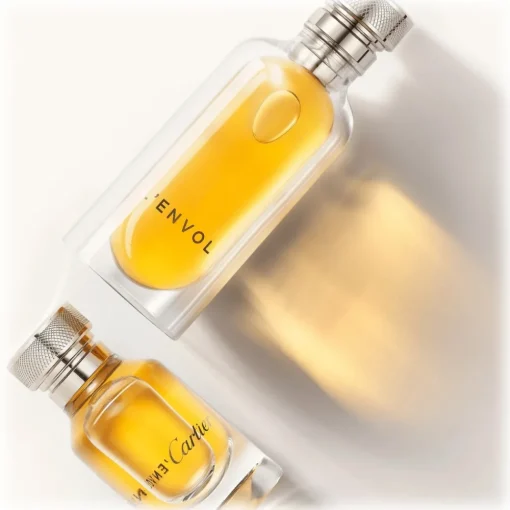 Cartier Beauty Cartier - L'Envol de Cartier Eau de Parfum - Luxury Fragrances - 50 ml - Avvenice