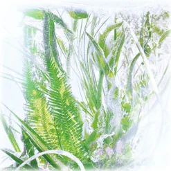 Cartier Beauty Cartier - Rivières de Cartier Luxuriance - Luxury Fragrances - 100 ml - Avvenice