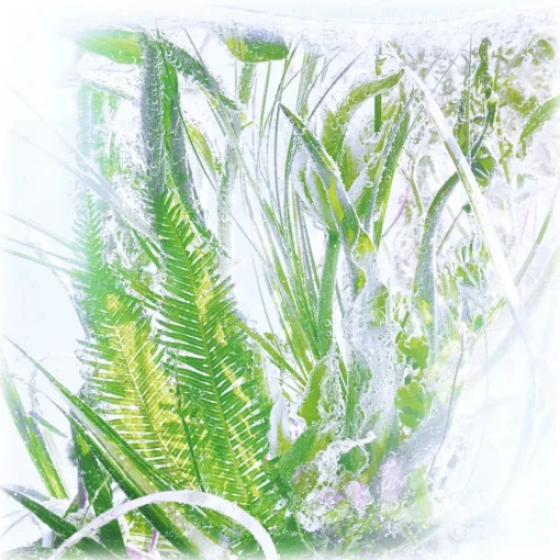 Cartier Beauty Cartier - Rivières de Cartier Luxuriance - Luxury Fragrances - 100 ml - Avvenice