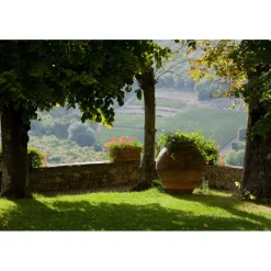 Castello di Meleto - Castle Storytelling - History - Art - Wine - 4 Days 3 Nights - Avvenice