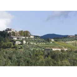 Castello di Meleto - Castle Storytelling - History - Art - Wine - 4 Days 3 Nights - Avvenice