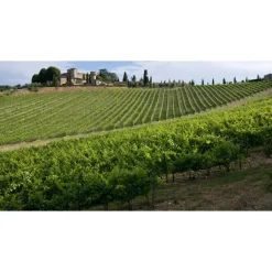 Castello di Meleto - Castle Storytelling - History - Art - Wine - 4 Days 3 Nights - Avvenice