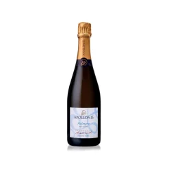 Champagne Apollonis - Palmyre Champagne - Pinot Meunier - Luxury Limited Edition - Avvenice^ Wines