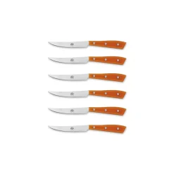 Coltellerie Berti - 1895 - Compendium Table Knife - N. 8450 - Exclusive Artisan Knives - Handmade in Italy - Avvenice^ Kitchen & Dining
