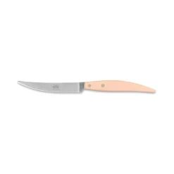 Coltellerie Berti - 1895 - Polychrome 6 Table Knives - N. 8052 - Exclusive Artisan Knives - Handmade in Italy - Avvenice