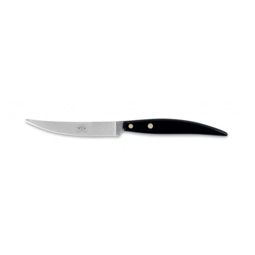 Coltellerie Berti - 1895 - Polychrome 6 Table Knives - N. 8066 - Exclusive Artisan Knives - Handmade in Italy - Avvenice