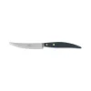Coltellerie Berti - 1895 - Polychrome 6 Table Knives - N. 8065 - Exclusive Artisan Knives - Handmade in Italy - Avvenice^ Kitchen & Dining