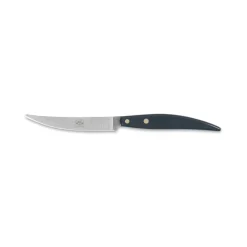 Coltellerie Berti - 1895 - Polychrome 6 Table Knives - N. 8065 - Exclusive Artisan Knives - Handmade in Italy - Avvenice^ Kitchen & Dining